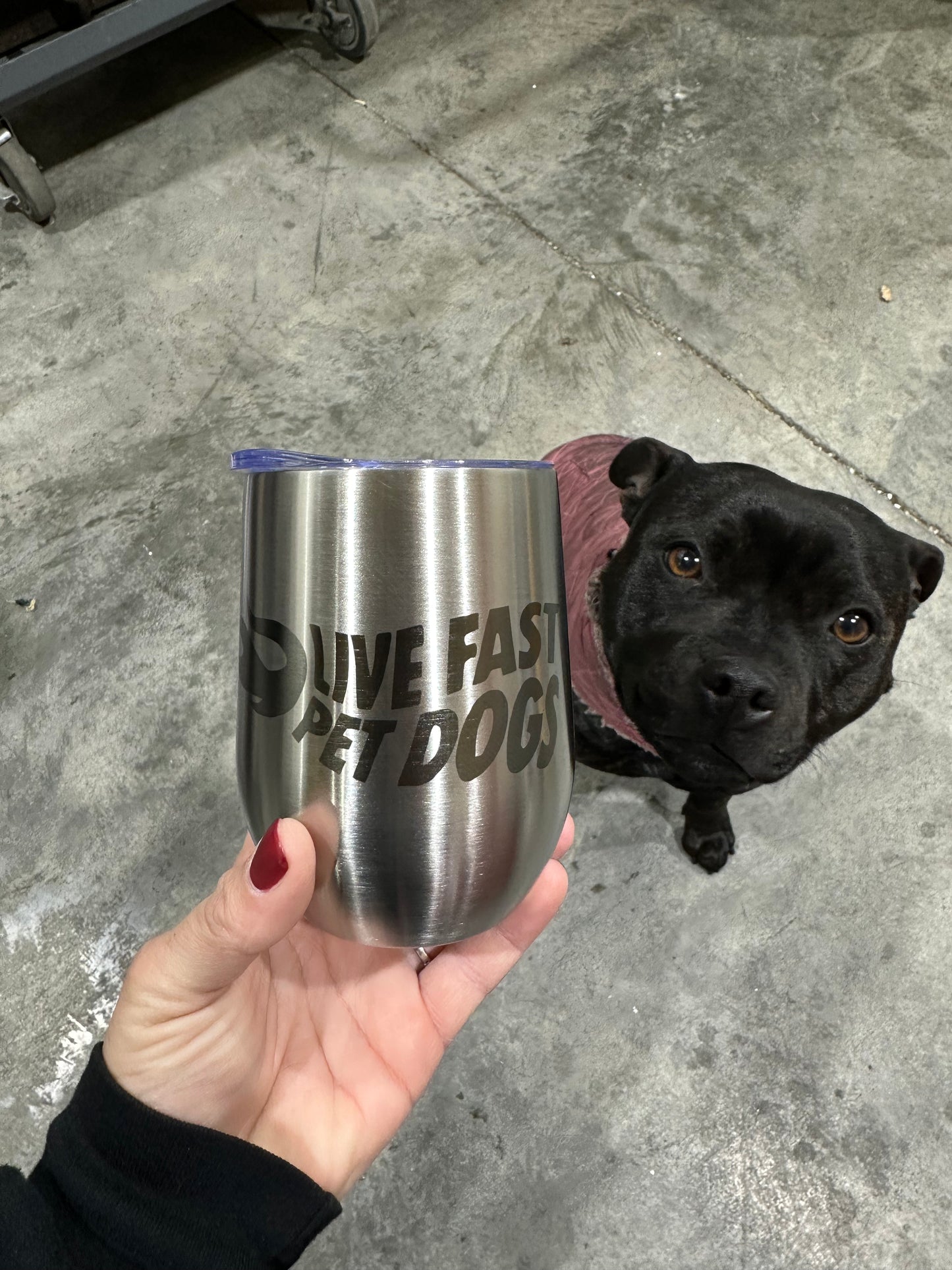 Live Fast, Pet Dogs Tumbler